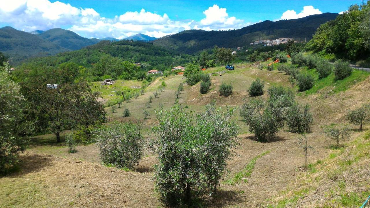 Agriturismo Tenuta Valletti. Sesta Godano Ngoại thất bức ảnh